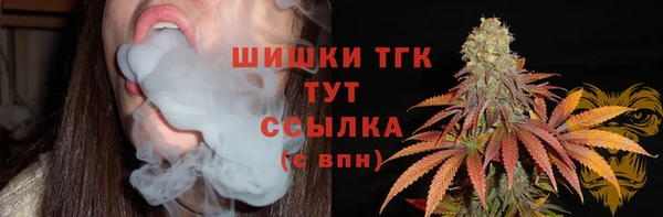 твердый Верхний Тагил