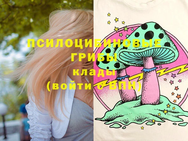 твердый Верхний Тагил