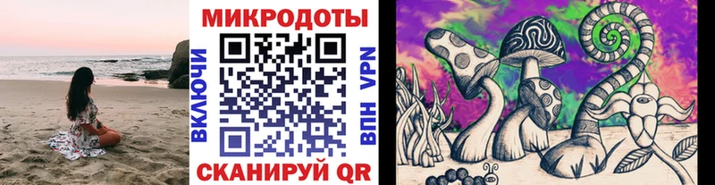 что такое наркотик  Ахтырский  мега как войти  Псилоцибиновые грибы Psilocybine cubensis 